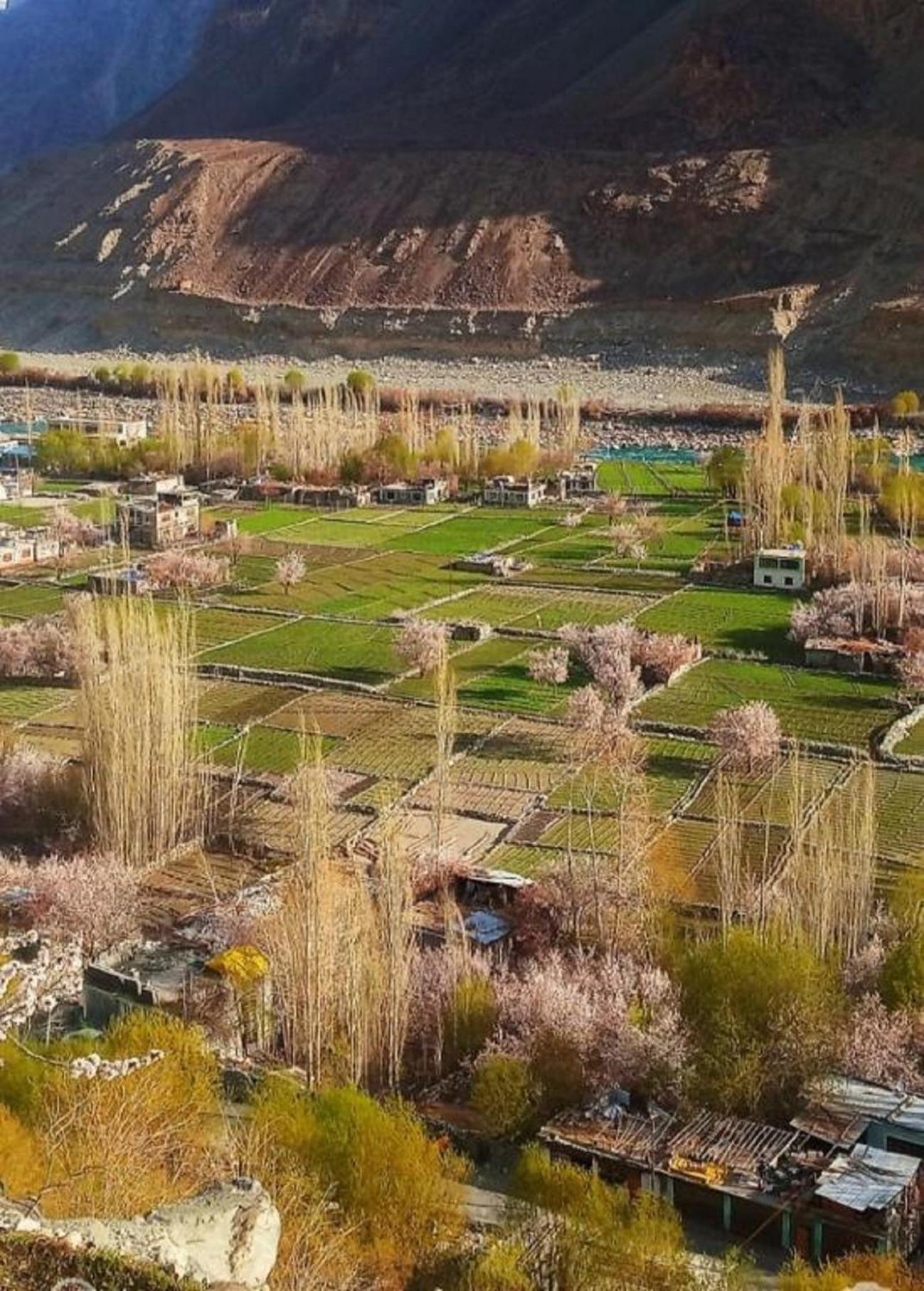 Hotel The Stone Palace-Turtuk Нубра Екстер'єр фото